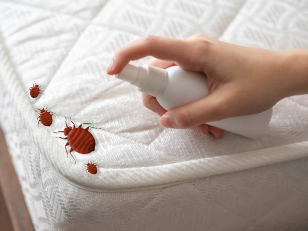 Best Indoor Pest Control  in Prichard, AL